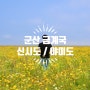 군산 금계국 _ 군산 여행 / 신시도 / 명성휴게소 / 야미도