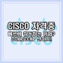 CISCO자격증, 빠르게 취득하는 방법이 있을까? CCNA/CCNP 난이도!