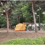소풍 정원 캠핑장에서 보낸 하룻 밤 ㅣ빅 아그네스 텐트