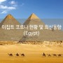 코로나: 수에즈 운하의 관문...이집트 코로나 현황 및 최신동향 [450]