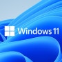 윈도우11 설치 위한 최소 시스템 요구 사항