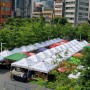 [만리동 광장]6월 25일~26일 농부의 시장 이야기