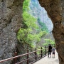 주왕산국립공원,한국인이 꼭 가봐야 할 관광지 (224-1)ㆍ용봉씨밀레의 우정은 관심과 배려