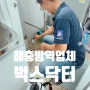 부산, 서울 해충방역업체 : 벅스닥터 - 여름 시작되기 전 점검하기!