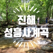 부산 근교 물놀이하기 좋은 계곡, 진해 성흥사 계곡