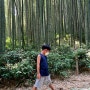 [담양] 담양여행, 담양가볼만한곳, 죽녹원 대나무숲체험.