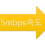 5mbps 속도로 할 수 있는 것은?