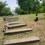 강아지 산책하기 좋은 인천공원 '웨슬리 희망동산'