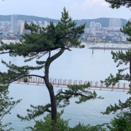 울산 일산해수욕장에서 바라본 대왕암출렁다리 , 야경명소 랜드마크