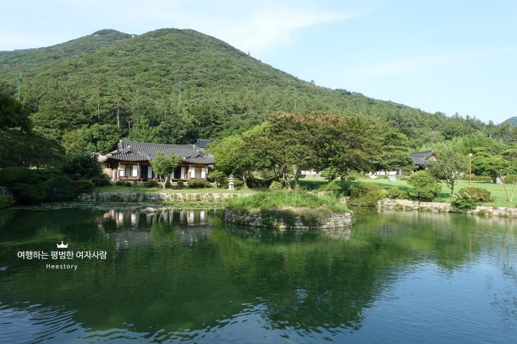 [진도 당일치기 여행] 운림산방/진도타워/명량대첩지(울돌목)