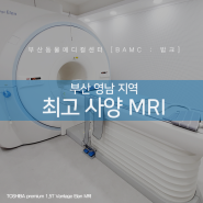 부산 영남 지역 최고 사양 MRI 도입 <부산대표동물병원, 부산동물메디컬센터>