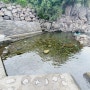 서귀포 가볼만한곳.숨은여행지 자구리 담수욕장 (자구리공원)