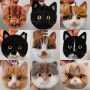 양모펠트 고양이인형 반려묘 양털공예 키링 맞춤 주문 제작 선물