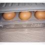 자동 계란 케이스 - 냉장고 계란 보관함