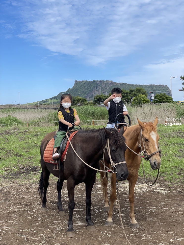 제주 승마체험 이전한 졸띠체험승마장으로(구:광치기해변 승마)