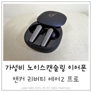 가성비로 유명한 노이즈캔슬링 블루투스이어폰 리버티 에어 2프로