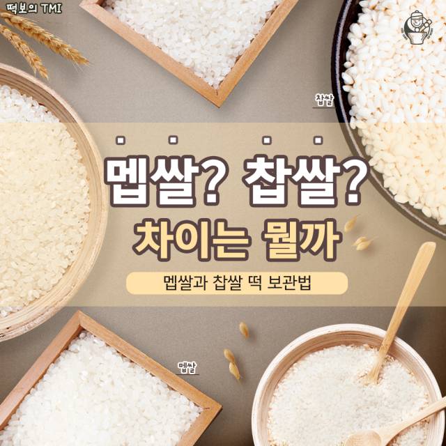 떡의 주재료 멥쌀과 찹쌀의 모든 것! : 네이버 블로그