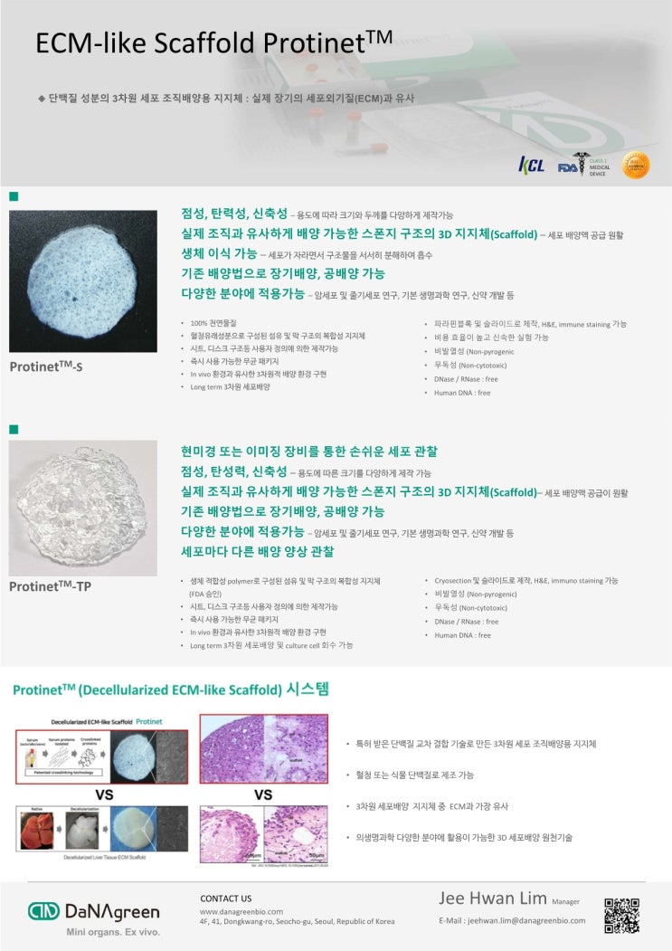 3D Cell Culture System , scaffold - 다나그린 : 네이버 블로그