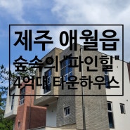 〔타운하우스 분양〕 제주도 애월 숲속의 힐링 하우스 "파인힐"