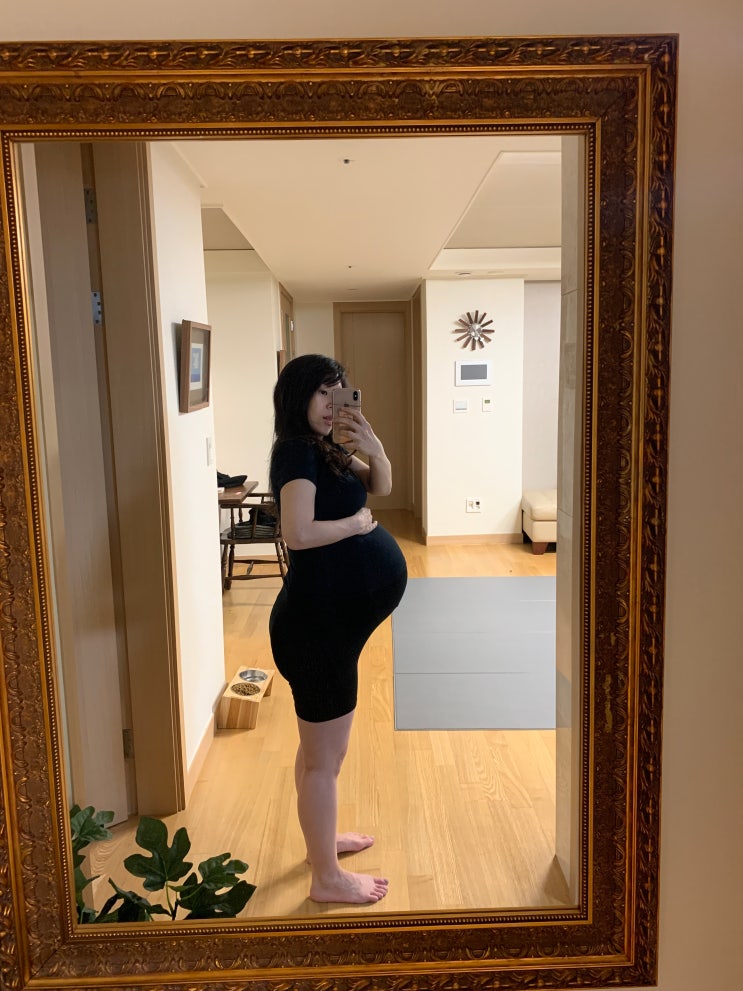 쌍둥이임신과 몸무게 변화 + 34주까지 운동한 썰 #홈트추천 : 네이버 블로그