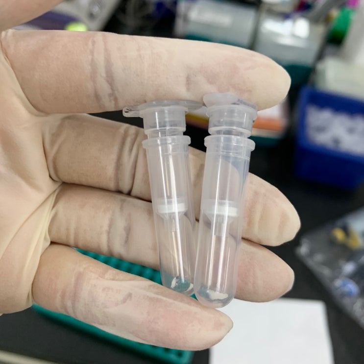 Mini prep protocol : 네이버 블로그