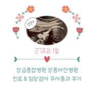 27주 강릉아산병원 한달만의 진료, 임당검사 절차 및 후기