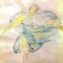 August Rodin 〈Dancer with Veil〉