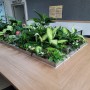 실내 정원꾸미기 공용공간 식물테이블