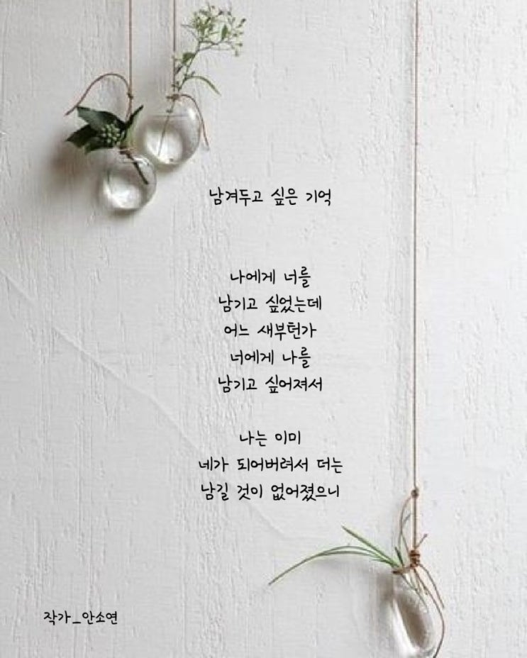 [시] 남겨두고 싶은 기억_안소연/좋은글귀/짧은글귀/사랑글귀/시추천/공감글/감성글/인생글귀/위로글귀/힐링글귀/필사/캘리글귀 ...
