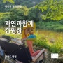 [아빠의 수첩] 아이와 캠핑, 영월 자연과함께 캠핑장(계곡 5번 사이트)
