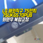 해외직구 LG TV수리 75UK6570PUB 화면은 밝아지는 느낌인데 영상은 안나옴 ,패널 + AD보드 복합 고장 티비 수리