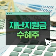 재난지원금수혜주 소개 전망, 무료 정보로 손실 보다 수익으로