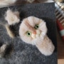 묘모펠트 고양이털 반려묘 양털 인형 맞춤 주문 제작 판매 수업 공방