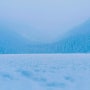 [캐나다 밴쿠버 생활 17] 밴쿠버 근교 여행 : B.C. 휘슬러 (곤돌라,블랙스 펍, 조프레 호수, 휘슬러 빌리지)