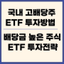 국내 고배당주 ETF 투자방법 : 배당금 높은 주식 ETF 투자전략 : 아리랑 고배당주 분배금