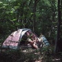 경기도 비밀의 숲속과 계곡에서 캠핑 즐기기.