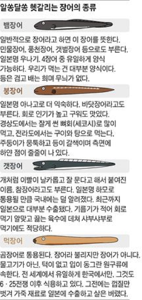 하모(ハモ)갯장어 경남 고성 포교마을 나포리횟집 : 네이버 블로그