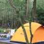 푸우&푸딩 행복한가족 캠핑스토리 & 공기좋고 풍경좋은 붉은오름자연휴양림에서 여유 있는 휴식를 만끽한 힐링 캠핑스토리