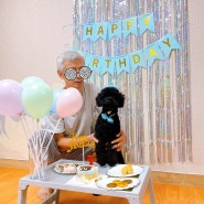 (까까멍냐옹) 강아지 생일파티 후기 / 강아지케이크