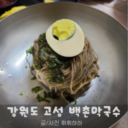 강원도 고성 막국수맛집 백촌막국수 내마음속 막국수일등!!