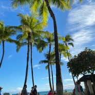 [2021, 7월 하와이 여행] Day 1 - Nico's 포케, Dole 파인애플 농장, 와이키키 비치 오픈카, 그린월드 커피농장, 알라모아나 푸드랜드