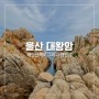 [울산 가볼만한곳] 대왕암 공원-추천하고픈 해안 산책로(feat. 대왕암캠핑장)