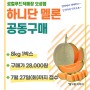 하니단 멜론 공동구매, 7월 27일(화)까지 접수!
