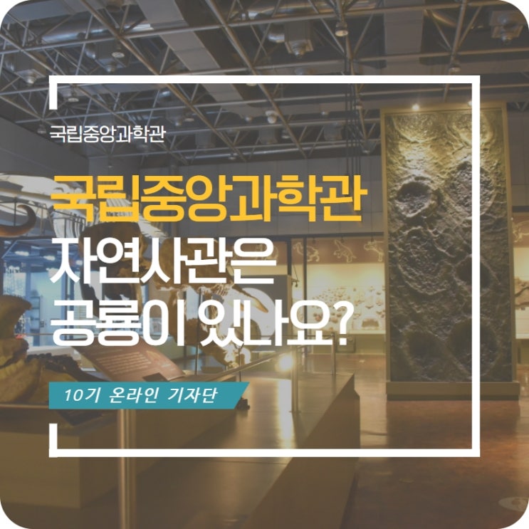 국립중앙과학관 자연사관은 공룡이 있나요? - 이광섭 기자