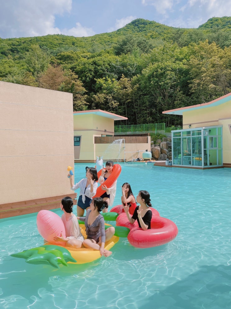 강원도 숙소 : 정선 드위트리 펜션 [강원도 풀빌라 펜션 추천] : 네이버 블로그