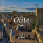 [스페인 북부 자동차여행] 올리테 Olite-아름다운 중세 소도시