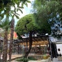 [전남순천여행] 정원이 아름다운 카페 사운즈옥천