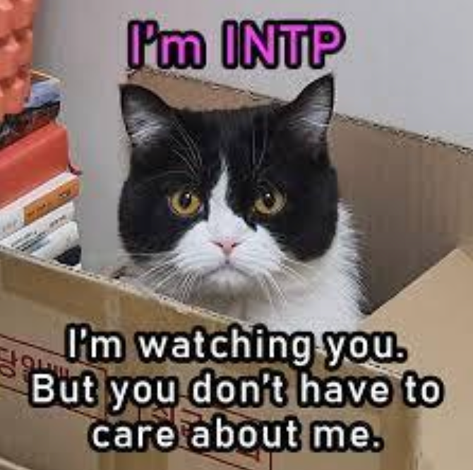 [Intp] Intp 인팁 짤 모음 (특징/팩폭/연애/이상형/빙고/밈) : 네이버 블로그