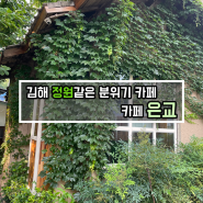 [카페 리뷰] 도심속에서 자연을 만날 수 있는 김해 봉리단길 카페, 카페 은교
