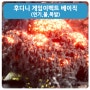 신규 강좌개강 - 후디니 게임 이펙트 베이직(불,연기, 폭발)